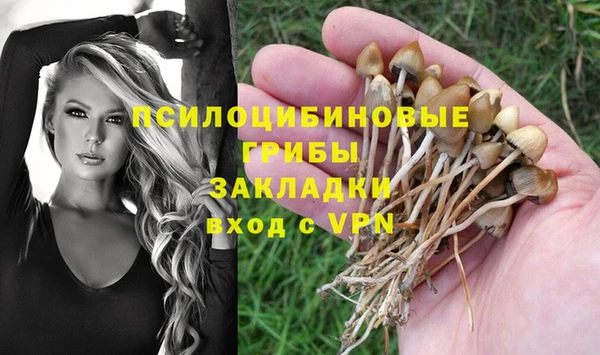 а пвп мука Алексеевка