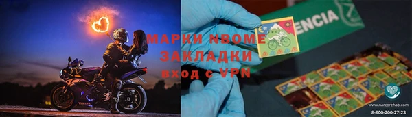молекула духа Великий Новгород