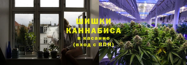 гидропоника Алзамай