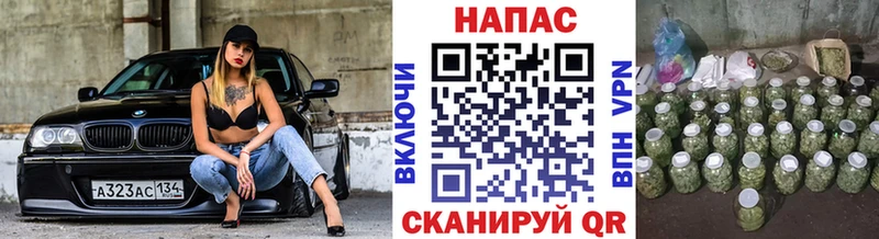 Шишки марихуана сатива  цены наркотик  Ардатов 